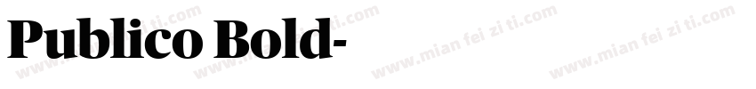 Publico Bold字体转换